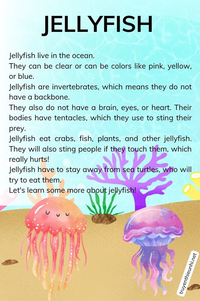 Thuyết trình tiếng Anh về loài sứa JELLYFISH
