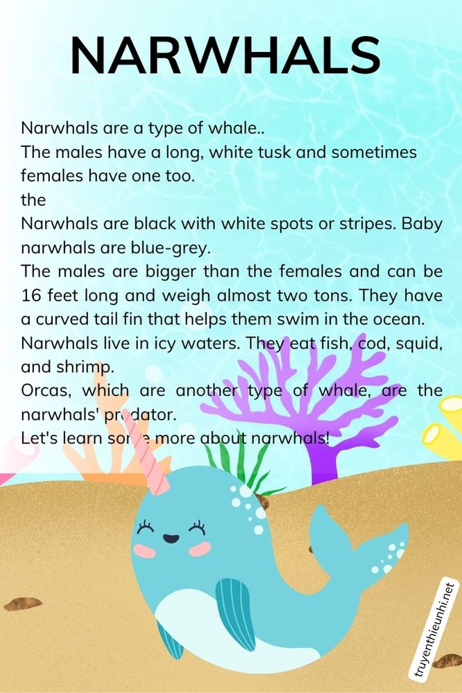 Thuyết trình tiếng Anh về loài Kỳ lân biển NARWHALS