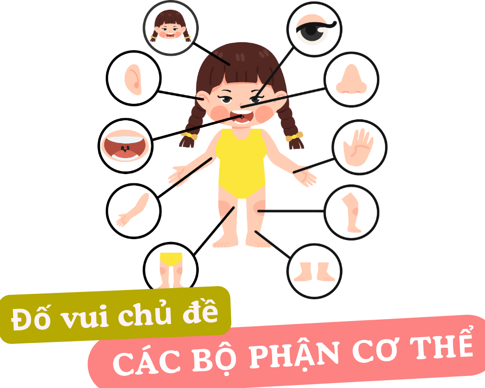 Câu đố vui cho bé chủ đề bộ phận cơ thể người