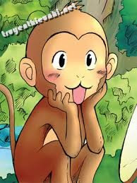 Khỉ đỏ đít