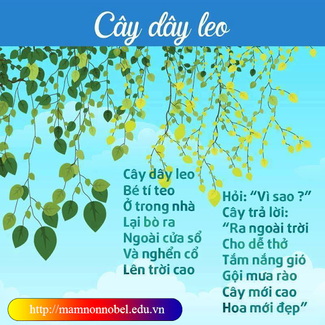 Thơ cho bé : Cây dây leo