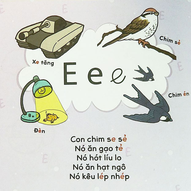 Chữ E