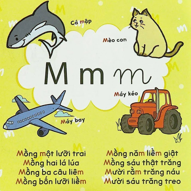 Chữ M