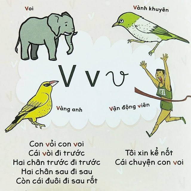 Chữ V