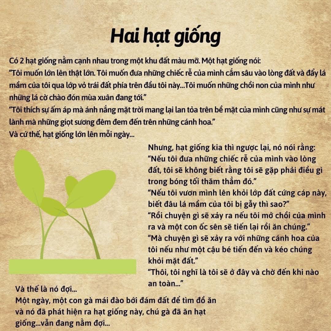 Truyện thiếu nhi Hai hạt giống