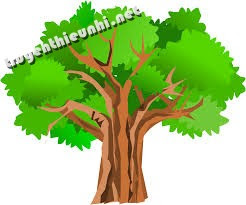 Vì sao cây trên núi thấp hơn cây ở đồng bằng?