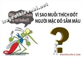 Vì sao muỗi thích đốt người mặc đồ sẫm màu?