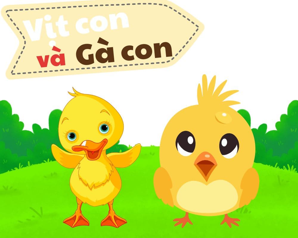 Vịt con và gà con