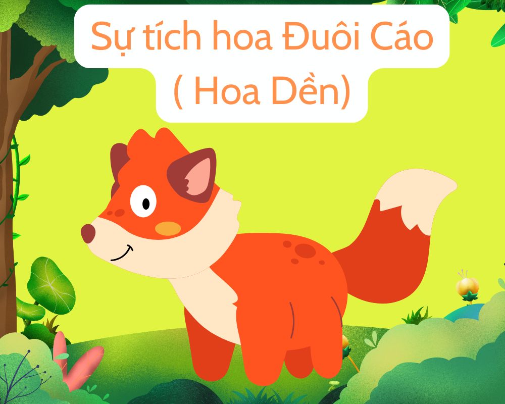 Sự tích hoa Đuôi Cáo (Hoa Dền)