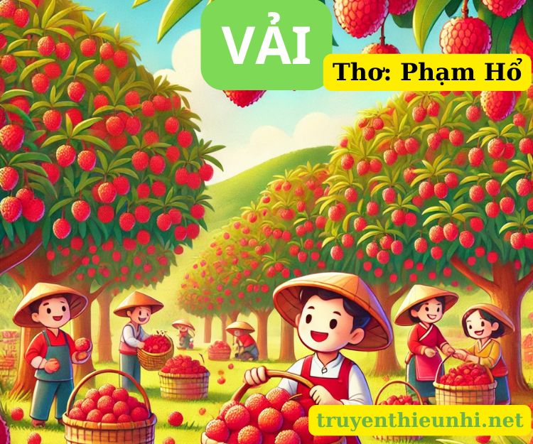 Vải